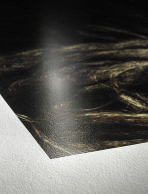 Hahnemühle Photo Rag® Baryta 315g 25Blatt Panorama